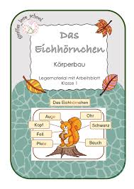 Das Eichhornchen Korperbau Unterrichtsmaterial Im Fach Sachunterricht In 2020 Eichhornchen Unterrichtsmaterial Grundschule Unterrichtsmaterial