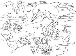 Here's a set of free printable alphabet letter images for you to download and print. River Dolphin Coloring Page Animals Town Animals Color Sheet River Dolphin Free Printable Coloring Pages Animals