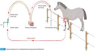 This electric fence should be powered by a 12 volt battery and this battery should have a trickle charger on it. What Are The Installation Requirements For Electric