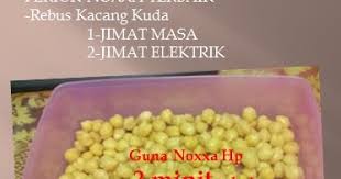 Selain diolah bersama bahan makanan lain. Dari Pena Seorang Wanita Bekerjaya Berbisnes Rebus Kacang Kuda 3 Minit Saja Dengan Noxxa Pc