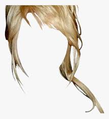 If you get the hang of this hairstyle, you will find this look easy to do. Dolly Parton Long Straight Casual Updo Hairstyle With Hd Png Download Kindpng