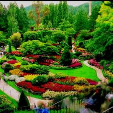 Victoria Bc Pretty Landscape Pictures Beautiful Gardens Miracle Garden