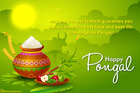 Hope this festival brings feelings of joy and peace in your life. Happy Pongal Greetings Card Design Online Free