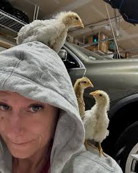 Chickens have a really hard time when it gets this hot. Please make sure  they have lots of water and shade, and offer cold, hydrating treats during  the hottest part of the