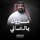 شيلات