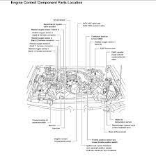 Title type 2006 nissan xterra radio wiring diagram pdf 1996 nissan maxima radio. 2013 Nissan Xterra Engine Diagram Wiring Diagram Filter File Design File Design Cosmoristrutturazioni It