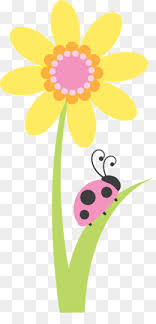 Verset Png Free Download Birthday Cartoon To view the full png size resolution click on any of the below image thumbnail. subpng
