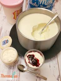 Yoghurt Making With Thermofun Thermofun Thermomix Recipes Tips Thermomix Recipes Thermomix Recipes Healthy Yoghurt Recipe