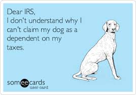 A Golden Oldie We Should Be Able To Claim Our Pets As Dependents Taxseason Happy Fourth Of July Fourth Of July Nightmare