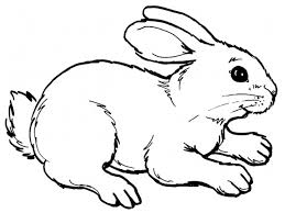 Illustration de lapin gris, lapin de pâques bugs bunny hare rabbit, lapin de dessin animé peint à la main lapin gris dos, peinture à l'aquarelle, mammifère png. Coloriage Lapin Les Beaux Dessins De Animaux A Imprimer Et Colorier Coloriage 6