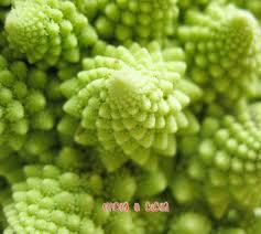 Cavolo Romanesco Cotto A Vapore Bimby