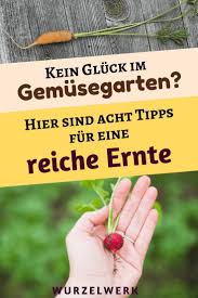 Kleiner Garten Grosse Ernte 8 Tipps Fur Einen Produktiven Mini Garten Wurzelwerk Mini Garten Gemusegarten Tipps Ernte