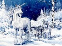 See more ideas about narwhal, cute drawings, cute narwhal. Unicorns Photo Unicorn And Wolves Unicorn Pictures Unicorn And Fairies Fantasy Horses