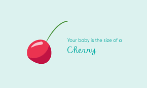 Join enfamil® family beginnings today 9 Weeks Pregnant Symptoms And Baby Development Pampers