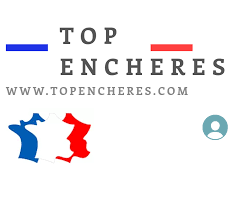 Indice des prix à la consommation de l'union monétaire. Arnaque Topencheres Com Faux Site D Encheres Forum Banque Et Argent