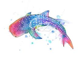 Rainbow Whale Shark Watercolor Painting By Cazziart On Deviantart Shark Painting Shark Art Whale Shark Tattoo