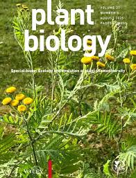 Image result for Rorippa madagascariensis