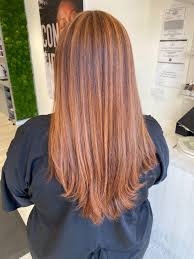 Image result for hair highlight