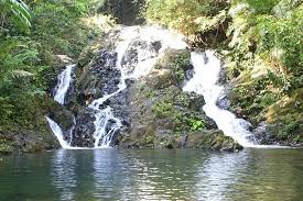 Tempat wisata di riau cukup beragam, bahkan menjadi salah satu penyumbang destinasi wisata terbaik di indonesia. Air Terjun Gurok Beraye Destinasi Wisata Yang Masih Alami