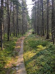 Fng shugga porn the reviews for Lindy and testimonials were