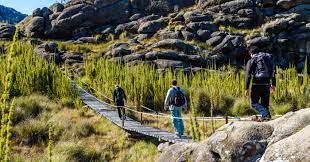 Situated in itatiaia, this hotel is within 2 mi (3 km) of vale do paraíba, itatiaia national park visitor center, and cachoeira do pitu. Itatiaia National Park Brazillian Haven For Flora And Fauna