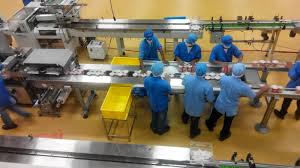 Mamee began exporting snacks and instant noodles 30 years ago and reached over 100 countries. Firdausy Cilikku Lawatan Ke Kilang Mamee Melaka