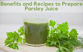 How to cook and add to diet. Parsley Juice Learn The Benefits And Recipes To Prepare Hungryforever Food Blog