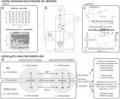 The way dna controls traits is by providing exact instructions to build proteins. Plos Computational Biology A Fully Joint Bayesian Quantitative Trait Locus Mapping Of Human Protein Abundance In Plasma