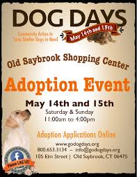 Maybe you would like to learn more about one of these? Dog Days Adoption Events Dog Days
