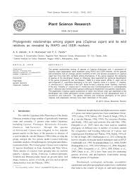 Image result for Eriosema rhynchosioides