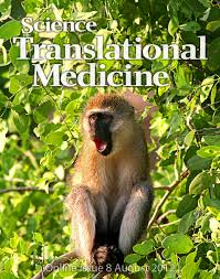 Asthmatic Granulomatosis: A New Disease?