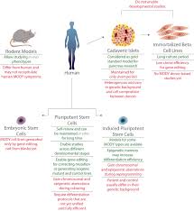 Keep an eye out for these signs in your baby or child: Frontiers Modeling Maturity Onset Diabetes Of The Young In Pluripotent Stem Cells Challenges And Achievements Endocrinology
