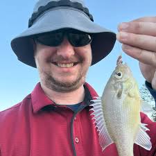 ᐅ Lake Patrick fishing reports🎣• Tifton, GA (United States) fishing