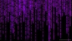 Looking for the best wallpapers? Hd Wallpaper Matrix Background Purple Backgrounds Technology Full Frame Wallpaper Flare