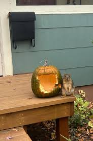 Image result for fat ass pumpkin