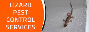 Getting rid of lizards is not that hard if you follow the next tips and tricks! Best And Natural Ways To Get Rid Of Lizards