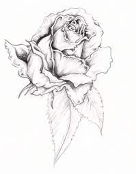 Modern and realistic rose tattoos for women. Pin By Tainara Dalmas On Tattoo Designs Rose Tattoo Design Flower Tattoo Designs White Rose Tattoos