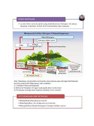 Report nota sains tingkatan 5. Kitar Nitrogen Bakteria
