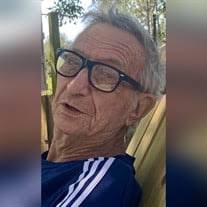 Louis Edward "Lou" Wills Obituary (2021)