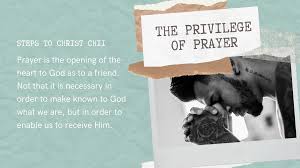 The wackiest key high on charm and low on attitude the wackiest key high on charm and low on attitude key west is a curious confluence of history and hubris, sleaze and sophistication, literature and licentiousness. The Privilege Of Prayer Pr Marlon S Blog