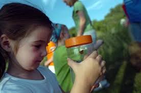 Hello, mother, hello, father … come to camp with your son or daughter