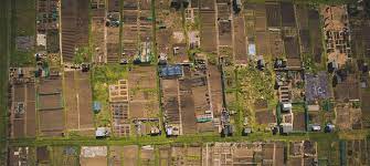 How To Start An Allotment (Beginners Guide) - South West Greenhouses