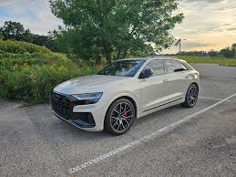 Image result for Vicuna Beige 2023 SQ8