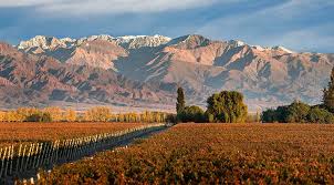 Fue fundada el 3 de octubre de 1772. San Carlos Mendoza