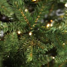 Check spelling or type a new query. 8ft 2 4m Pre Lit Artificial Christmas Tree Iowa 5716 Tips Green 650 Led Lights Warm White