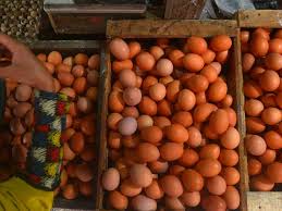 Abang teloq grade a telur harga. Harga Telur Kembali Turun Jadi Rp 20 Ribu Per Kg Bisnis Liputan6 Com