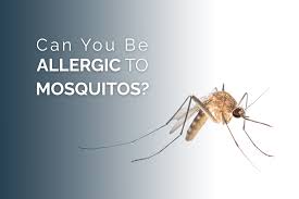 Image result for mosquito bite