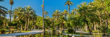 Maybe you would like to learn more about one of these? Activities Guided Tours And Day Trips In Elche Civitatis Com