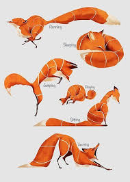 We Have All Of Them Here Every Stylized Red Fox Sleeping Fox Yawning Fox Sitting Fox Running Fox Playing Fox An Art Reference Poses Animal Drawings Fox Art