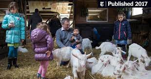 Explore over 30,000 hotels, motels, bed & breakfasts, and vacation rentals across the u.s. The Dutch Way Tulips Windmills And Barnyard Animals The New York Times